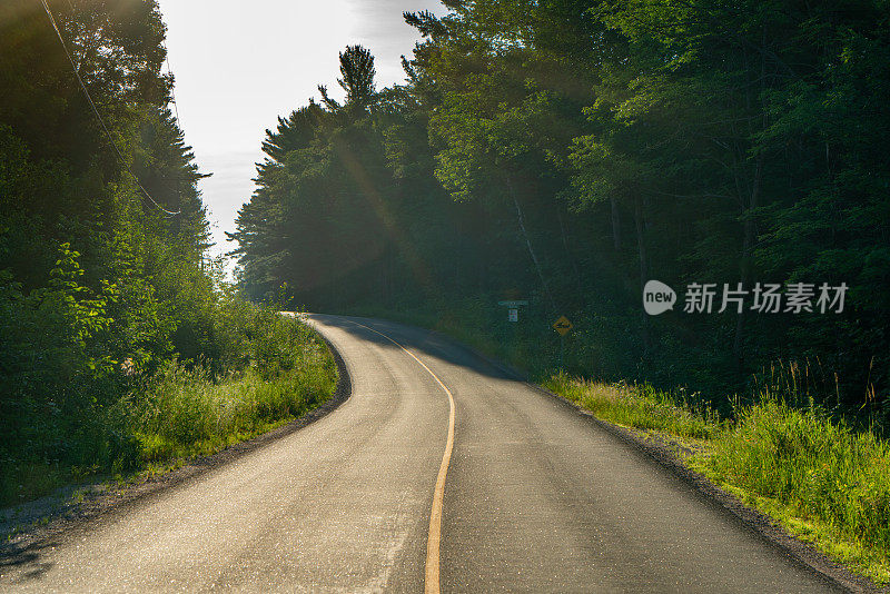 Muskoka Torrance Barrens暗天保护区和高地池塘，Gravenhurst，加拿大